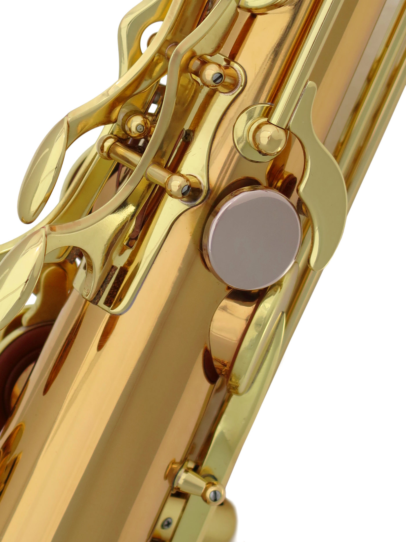 Saxophone Ténor Série RJ Brossé T800VB - Advences